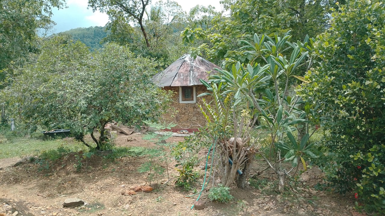 ECO-TOURISM PROPERTY FOR SALE – HORANA, SRI LANKA - Image 7