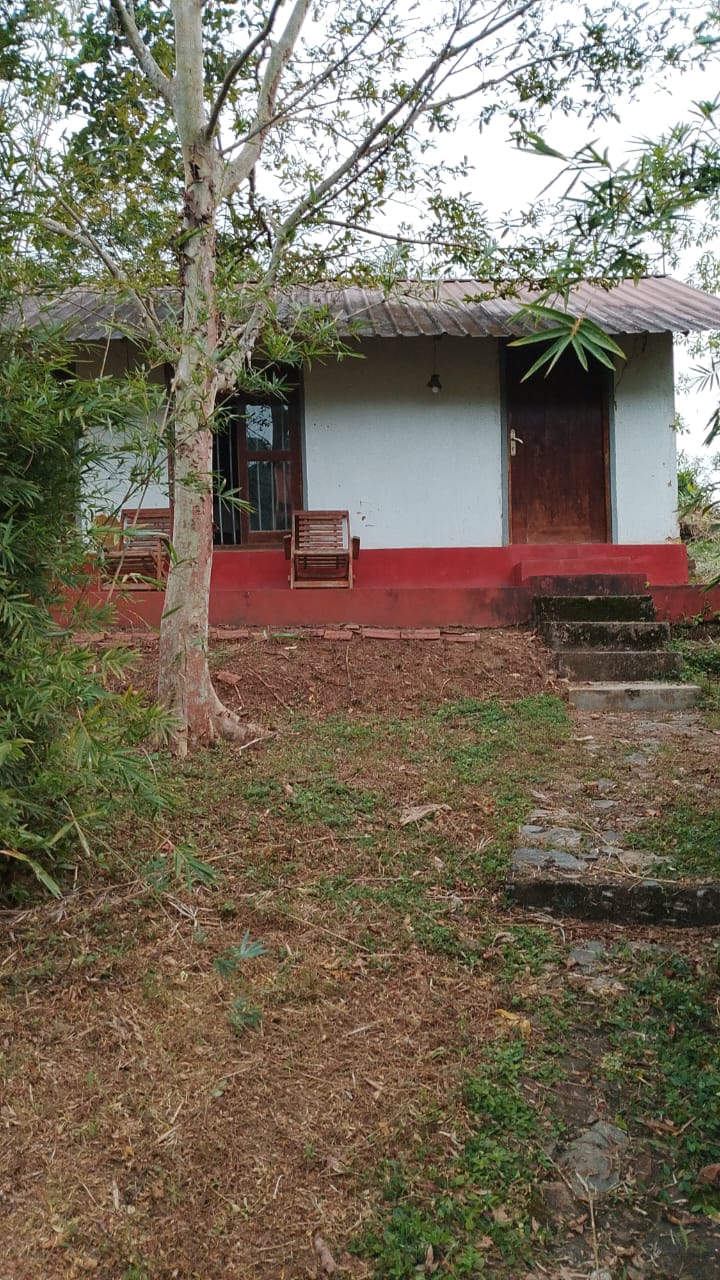 ECO-TOURISM PROPERTY FOR SALE – HORANA, SRI LANKA - Image 2
