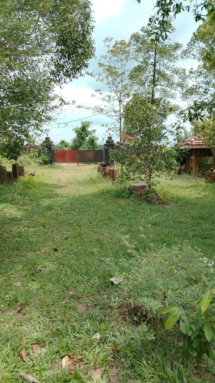 ECO-TOURISM PROPERTY FOR SALE – HORANA, SRI LANKA - Image 8
